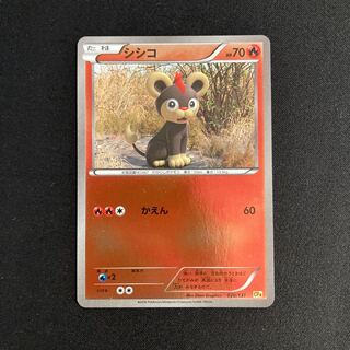 f349 Litleo CP4 Premium Champion Pack Pokémon Treasurer