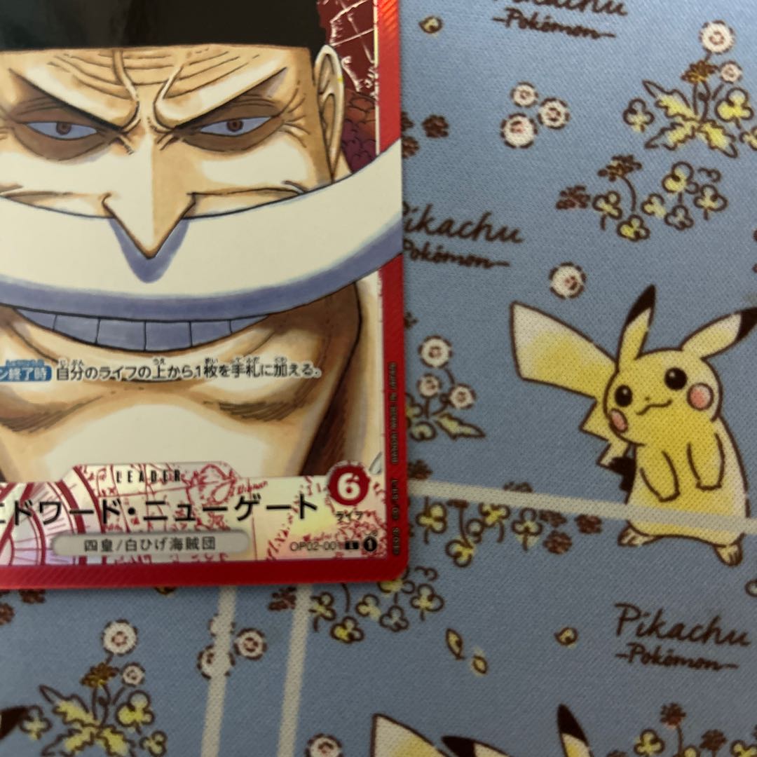 Edward Newgate Parallel Leader SR