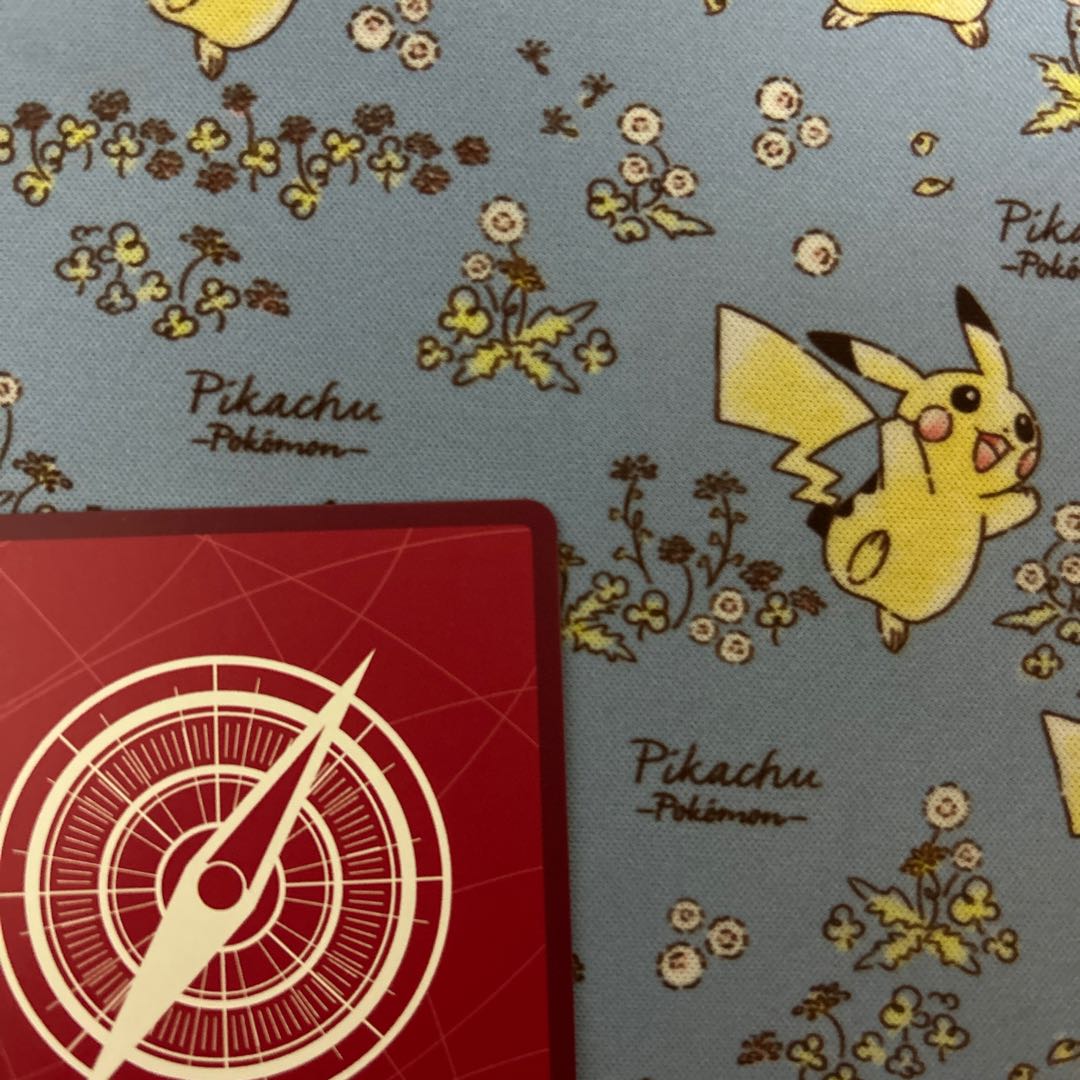 Edward Newgate Parallel Leader SR