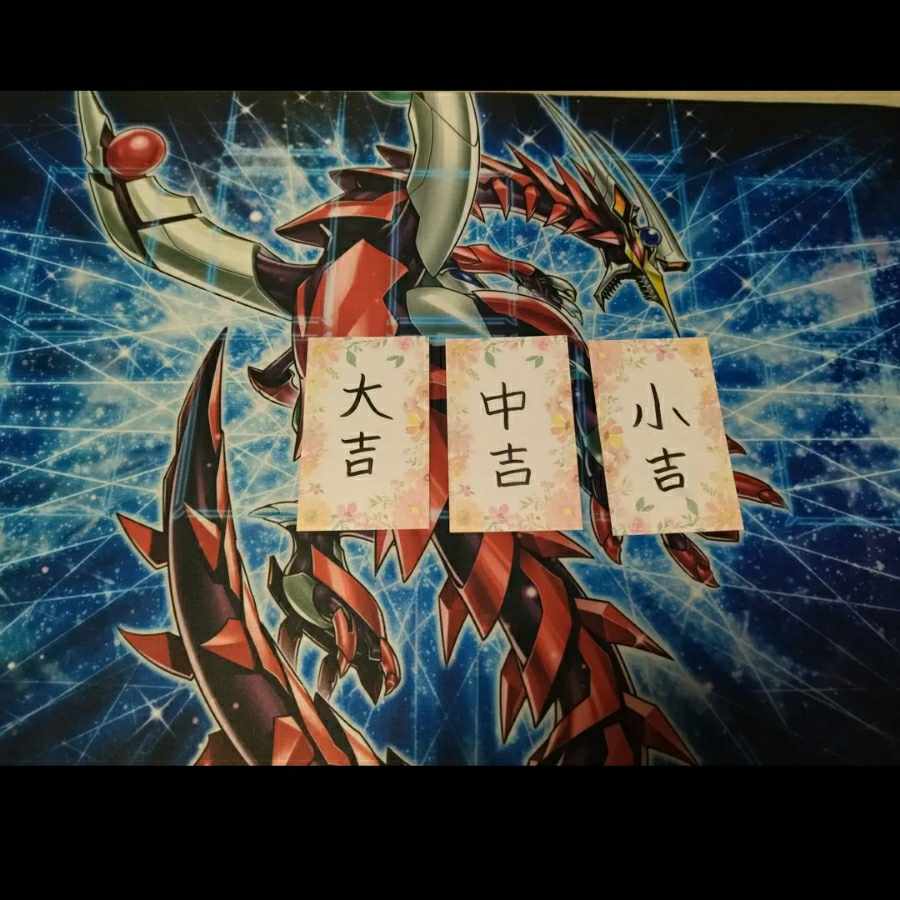 New Year Oripa TOP Senkohime Rei (20th)