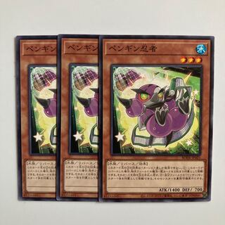 9543 ペンギン忍者 ノーマル JP025