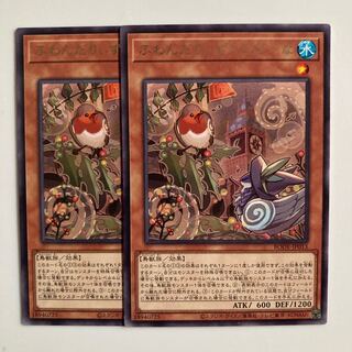 9546 Floowandereeze & Robina $5294