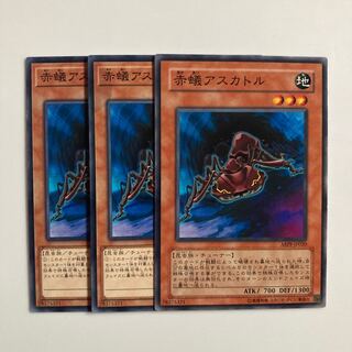 赤蟻アスカトル $5303