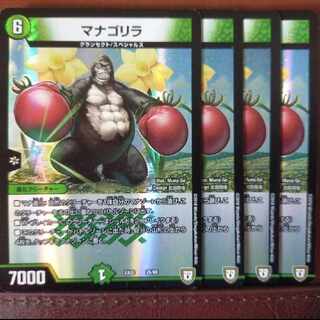 old849 set discount managorilla 25/69