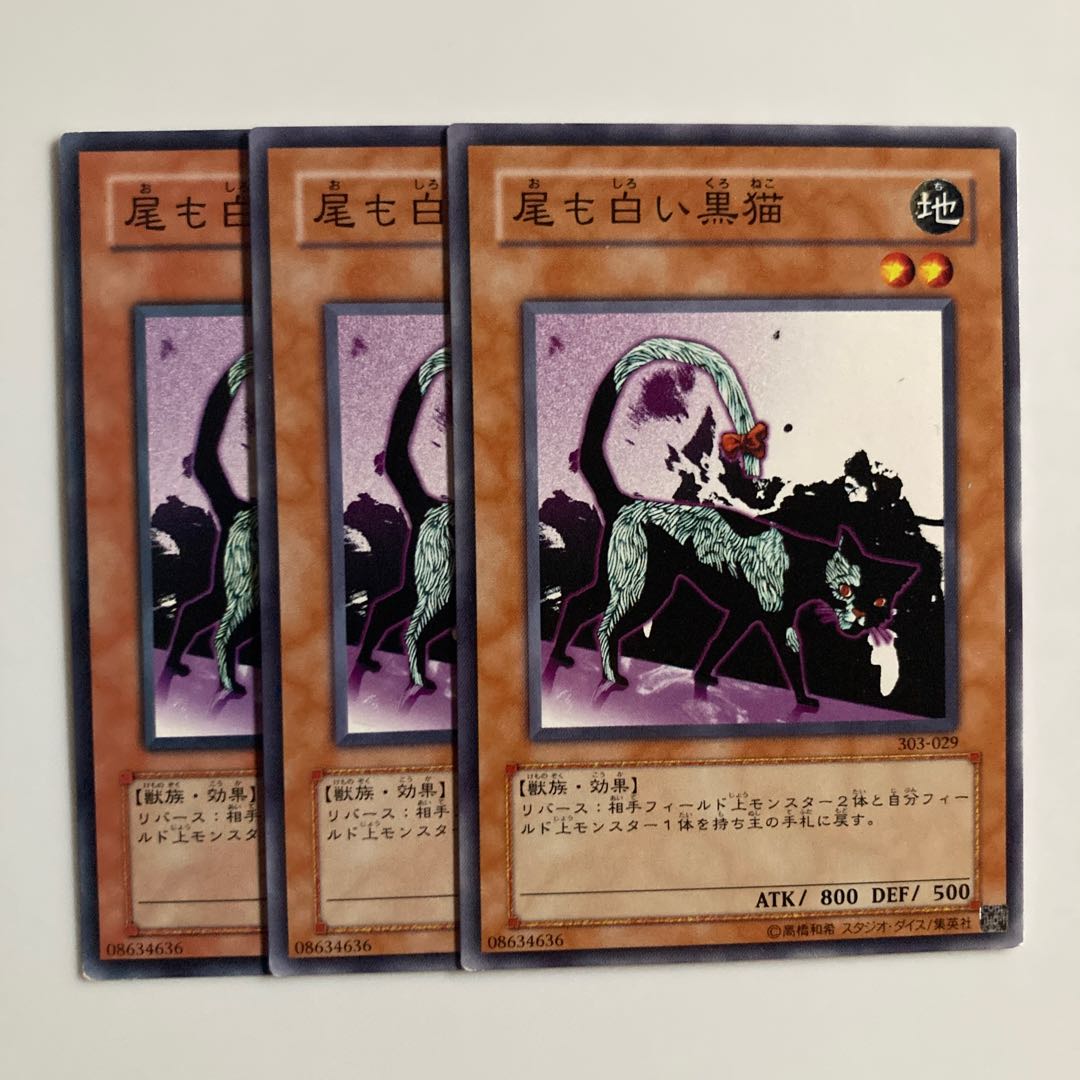 9561 尾も白い黒猫 ノーマル JP138