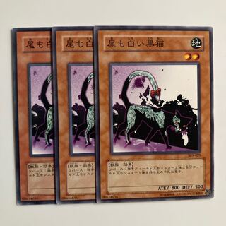 9561 尾も白い黒猫 ノーマル JP138