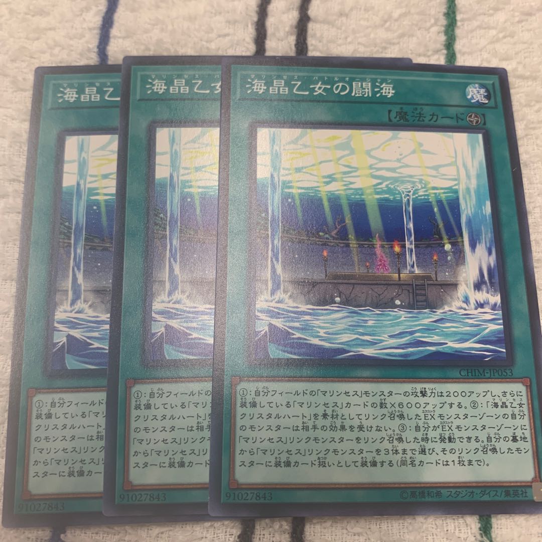 海晶乙女の闘海 専用1680様