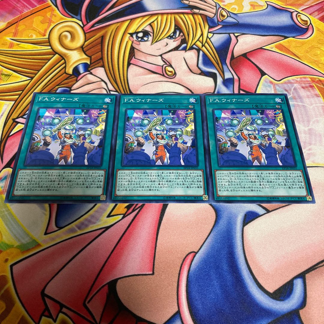 F.A. Winners Normal JP035