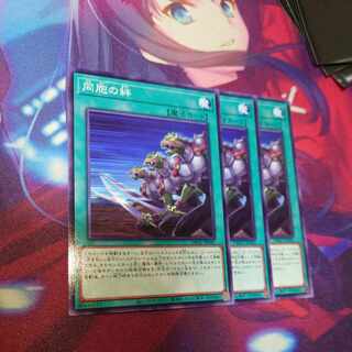 同胞の絆 ノーマル JP041