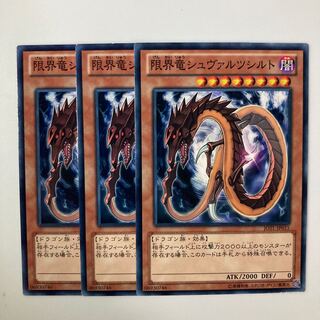 9595 限界竜シュヴァルツシルト ノーマル JP308