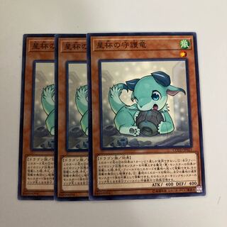 星杯の守護竜 $5365