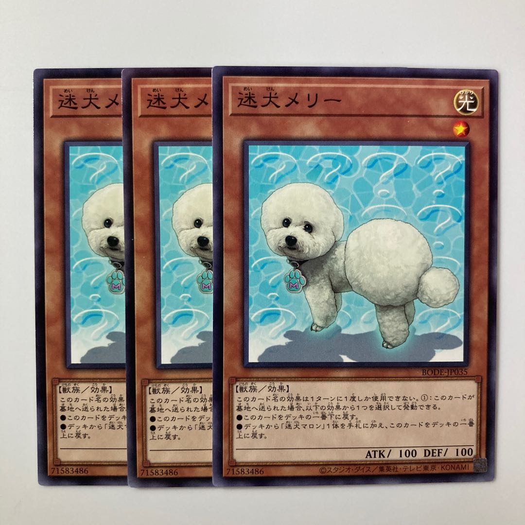 9600 Outstanding Dog Mary $5375