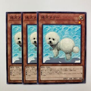 9600 Outstanding Dog Mary $5375