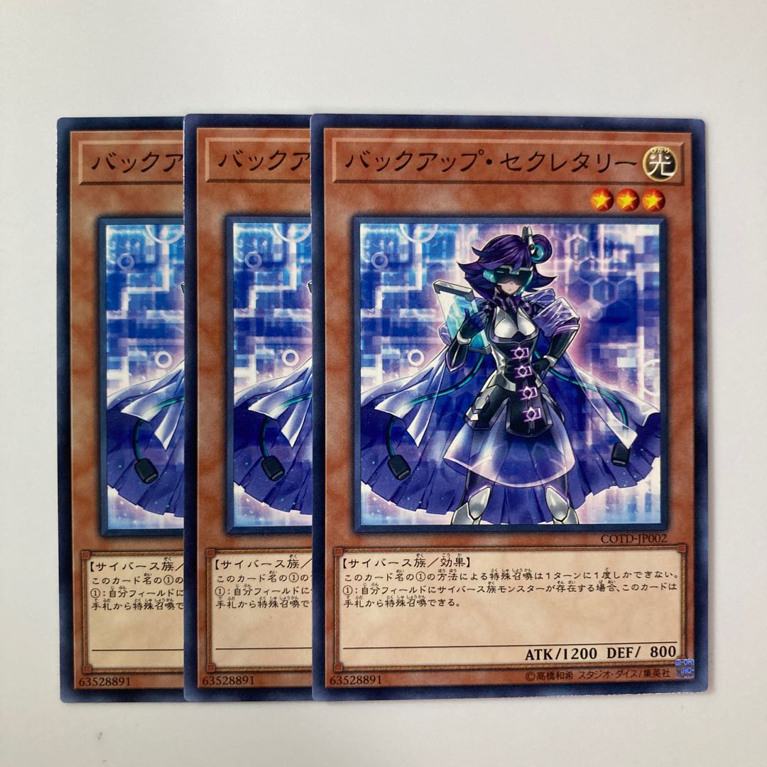 Backup Secretary $5394