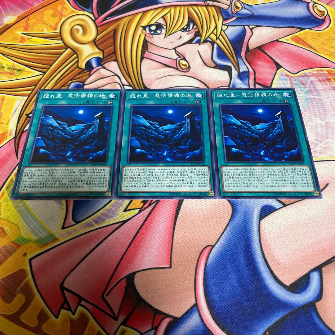 Hidden Village - Land of Ninpo Training Normal JP056