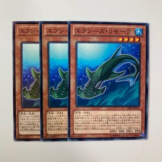 エクシーズ・リモーラ $5420