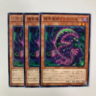 9636 捕食植物フライ・ヘル レア JP006