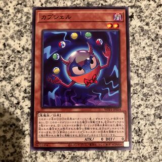 Capshell Normal JP054