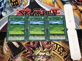 草原 初期 レア 3枚セット