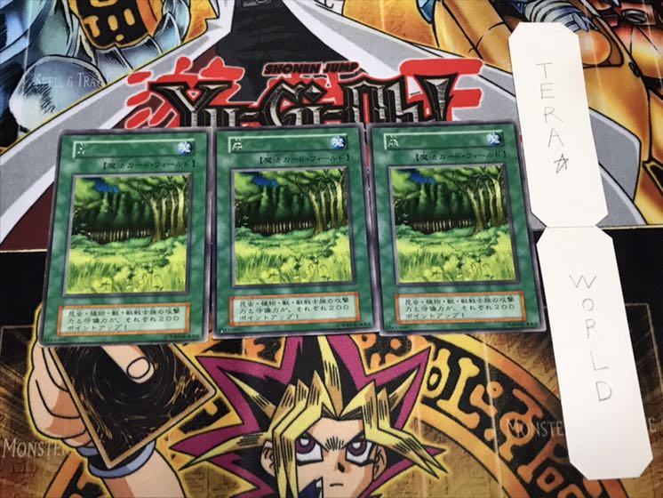 森 初期 レア 3枚セット 3枚