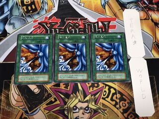 ゴンサロ 様 専用