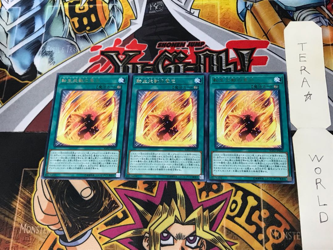 Will of the Salamangreat SOFU 3 rare, set of 3 Tera.