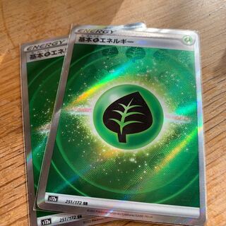 Basic GrassEnergy SR 251/172 Set of 2