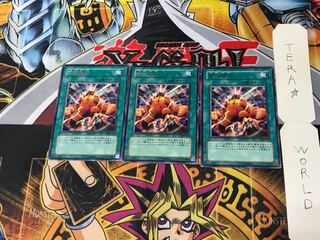 Wild LifeLiberate 306 2 rare, set of 3 Tera.