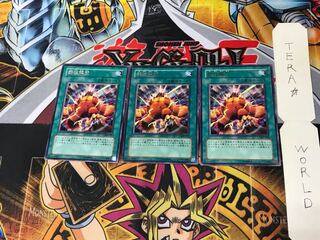 Wild LifeLiberate 306 3 Rare Set of 3 Tera.