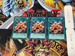 Wild LifeLiberate EE2 2 Rare Set of 3 Tera.