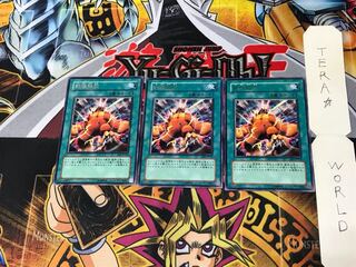 Wild LifeLiberate EE2 3 Rare Set of 3 Tera.