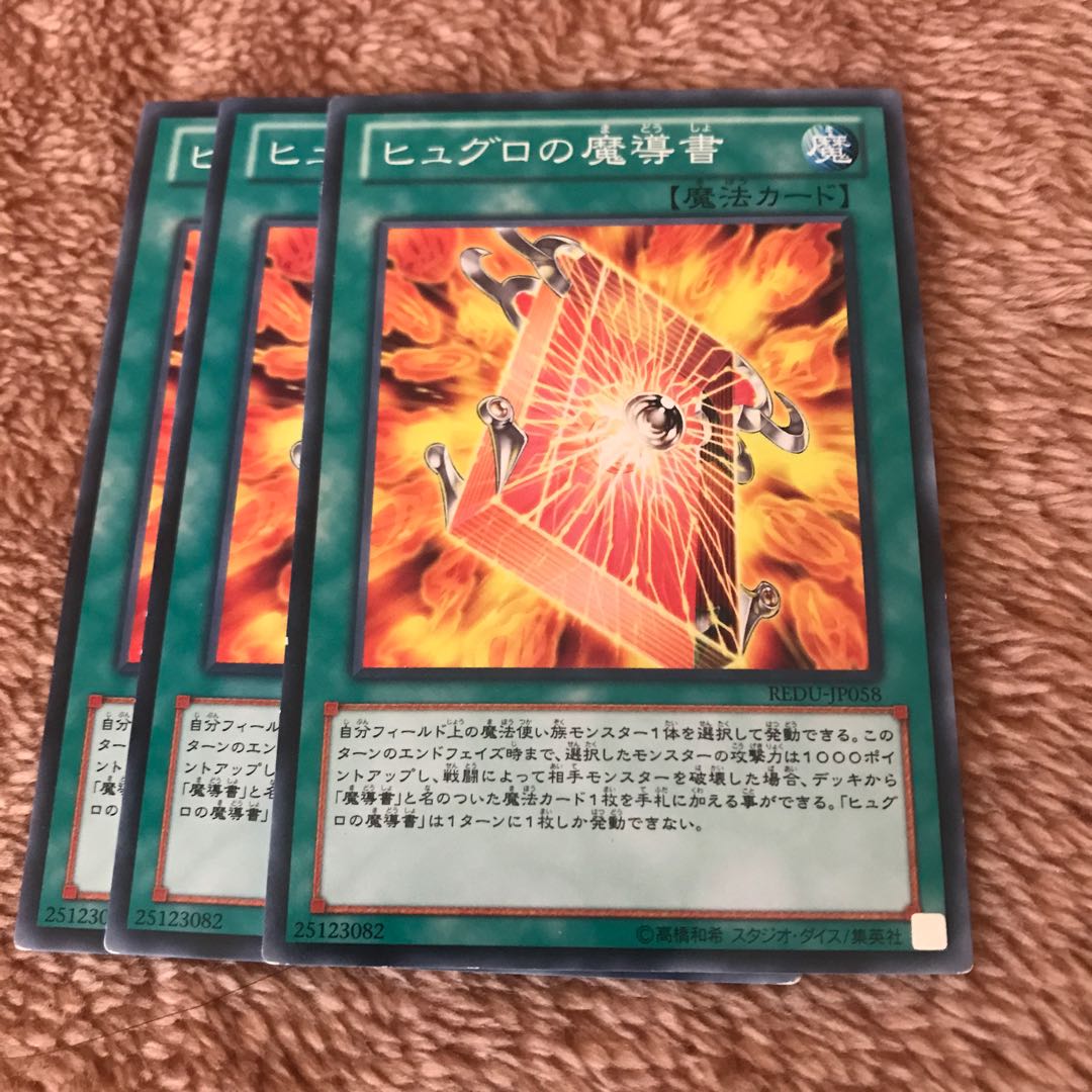 マドレース ヒュグロの魔導書