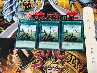 Dragon Shrine DP17 5 Rare Set of 3 Tera