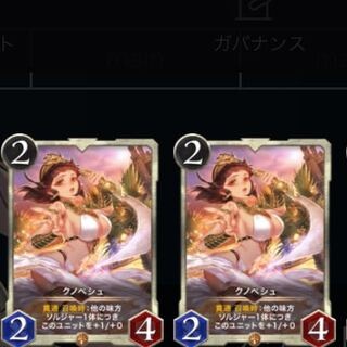 クノペシュ　2枚セット