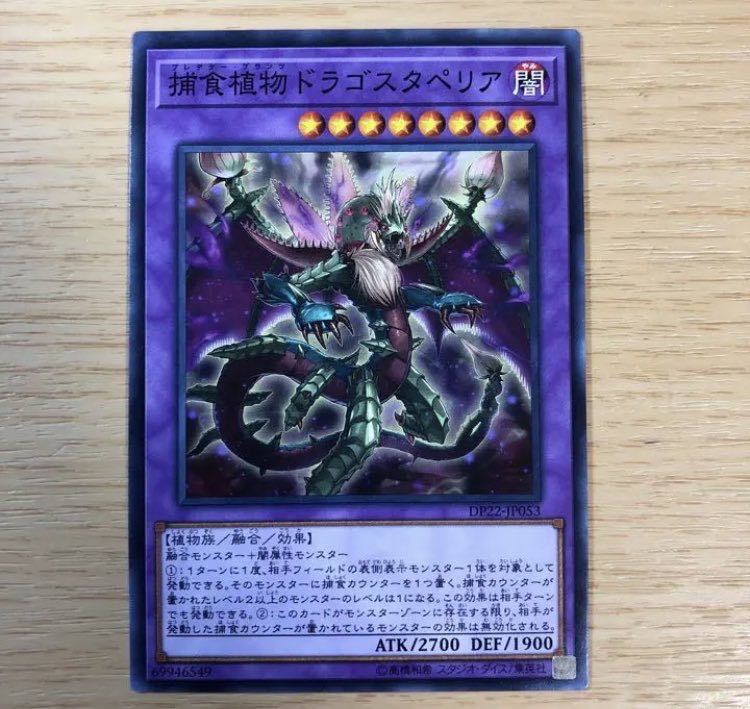 Predaplant Dragostapelia Normal JP053