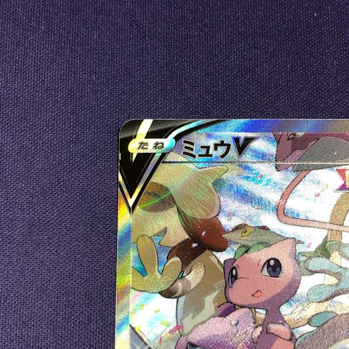 MewV SR 106/100 SA Special Art