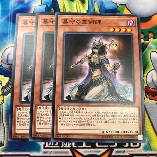 墓守の霊術師 3枚