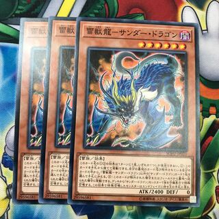雷獣龍サンダードラゴン 3枚