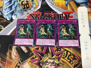 Amazoness Onslaught DP18 1 Rare Set of 3 Tera.