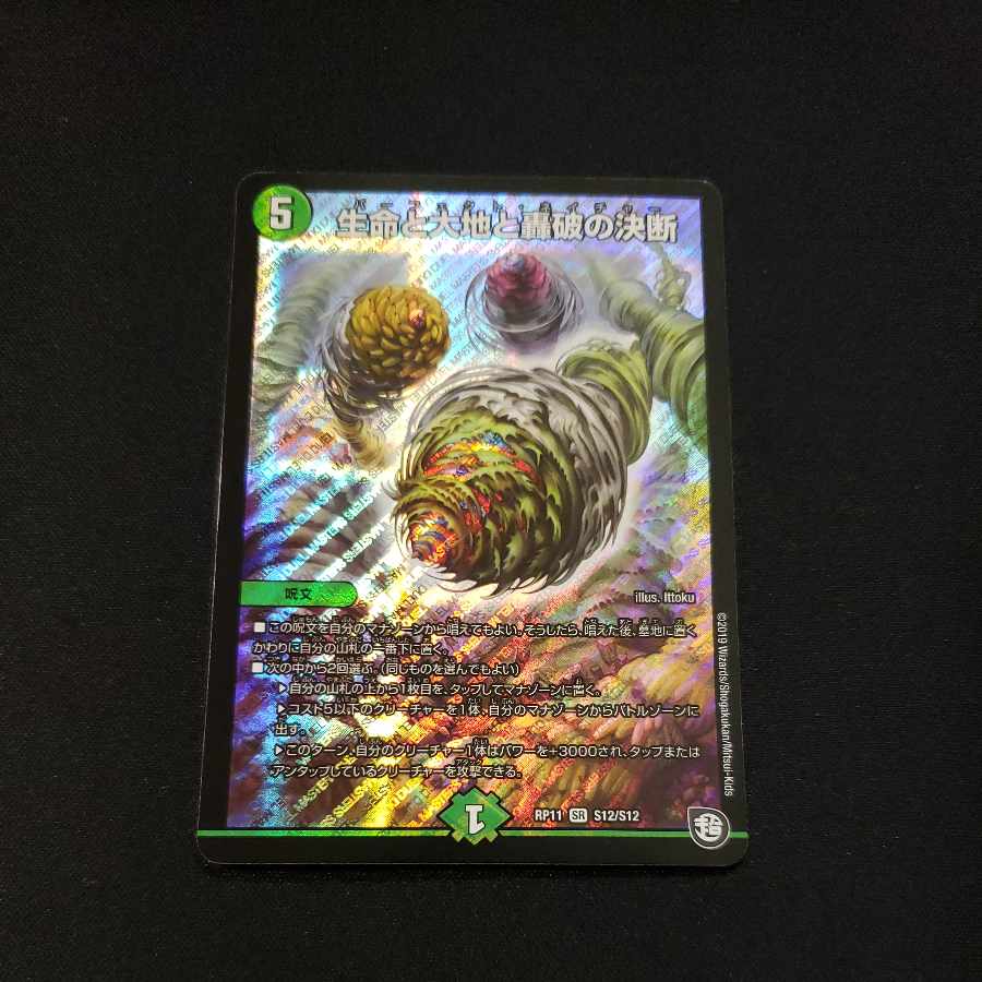 Life Life, Earth and Roaring Decision SR S12/S12