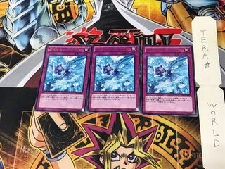 Diamond Dust DP15 2 rare, set of 3 Tera.