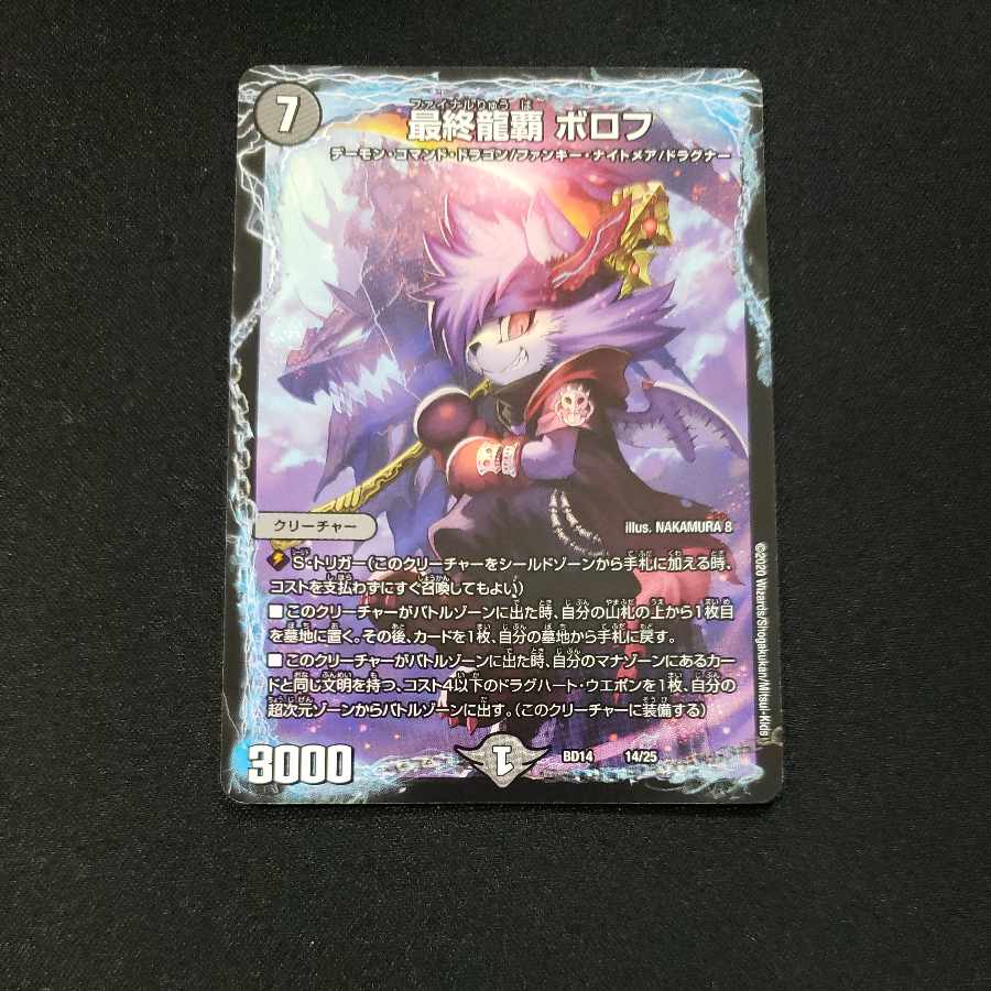 最終龍覇 ボロフ 14/25