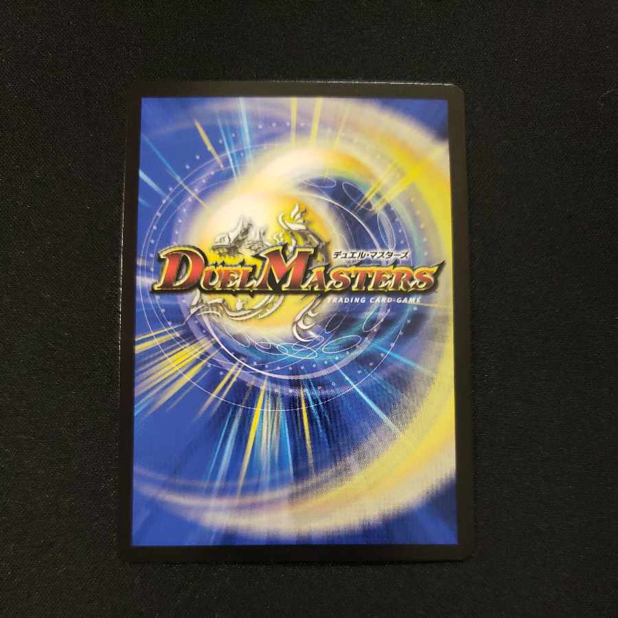 最終龍覇 ボロフ 14/25