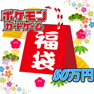 売り切れ！　新年大還元　50万円福袋　1名様限定！