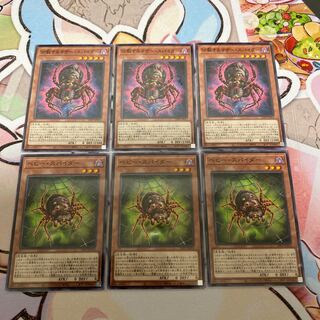 Mother Spider to Bifurcate Baby Spider 3pcs.