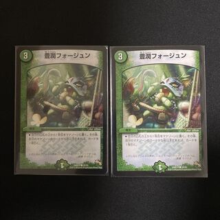 豊潤フォージュン C 55/55