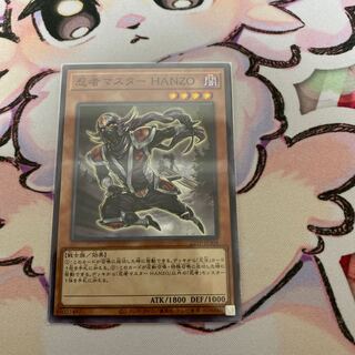 Ninja Grandmaster Hanzo