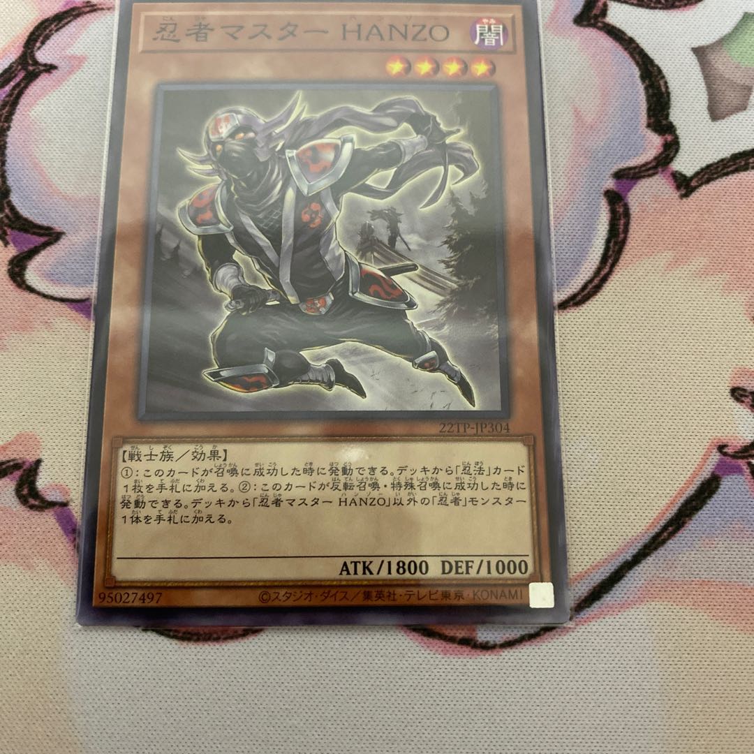 Ninja Grandmaster Hanzo