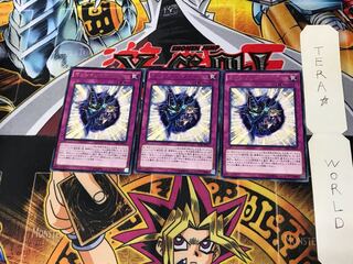 Magician Navigation TDIL 4 rare, set of 3 Tera.