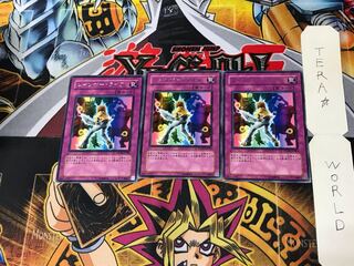 Rainbow Life PTDN 5 Rare, set of 3 Tera.